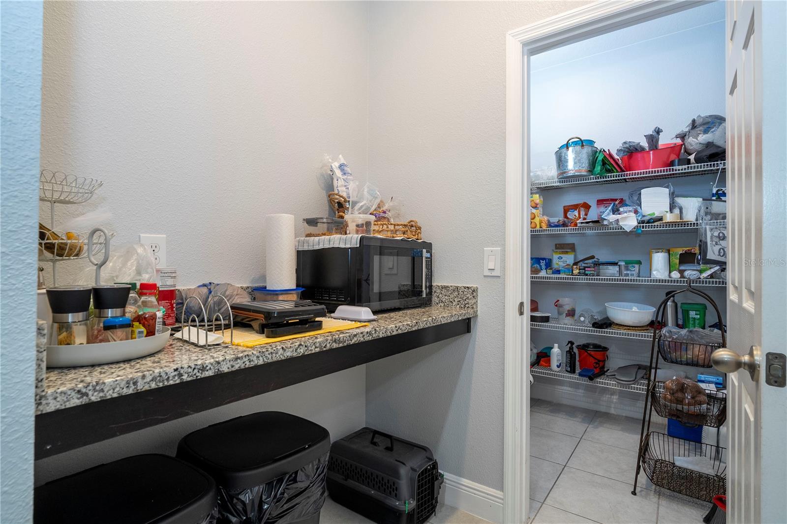 14031 Picard, Winter Garden, FL 34787