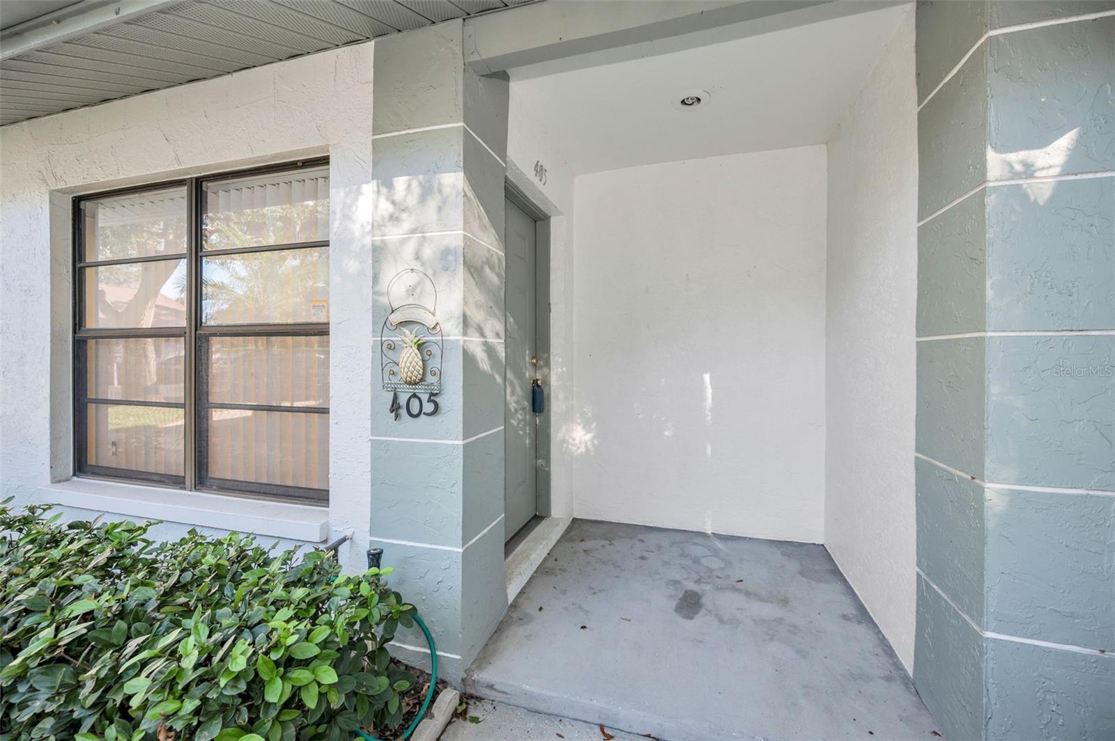 3500 Magnolia Ridge Unit 405, Palm Harbor, FL 34684