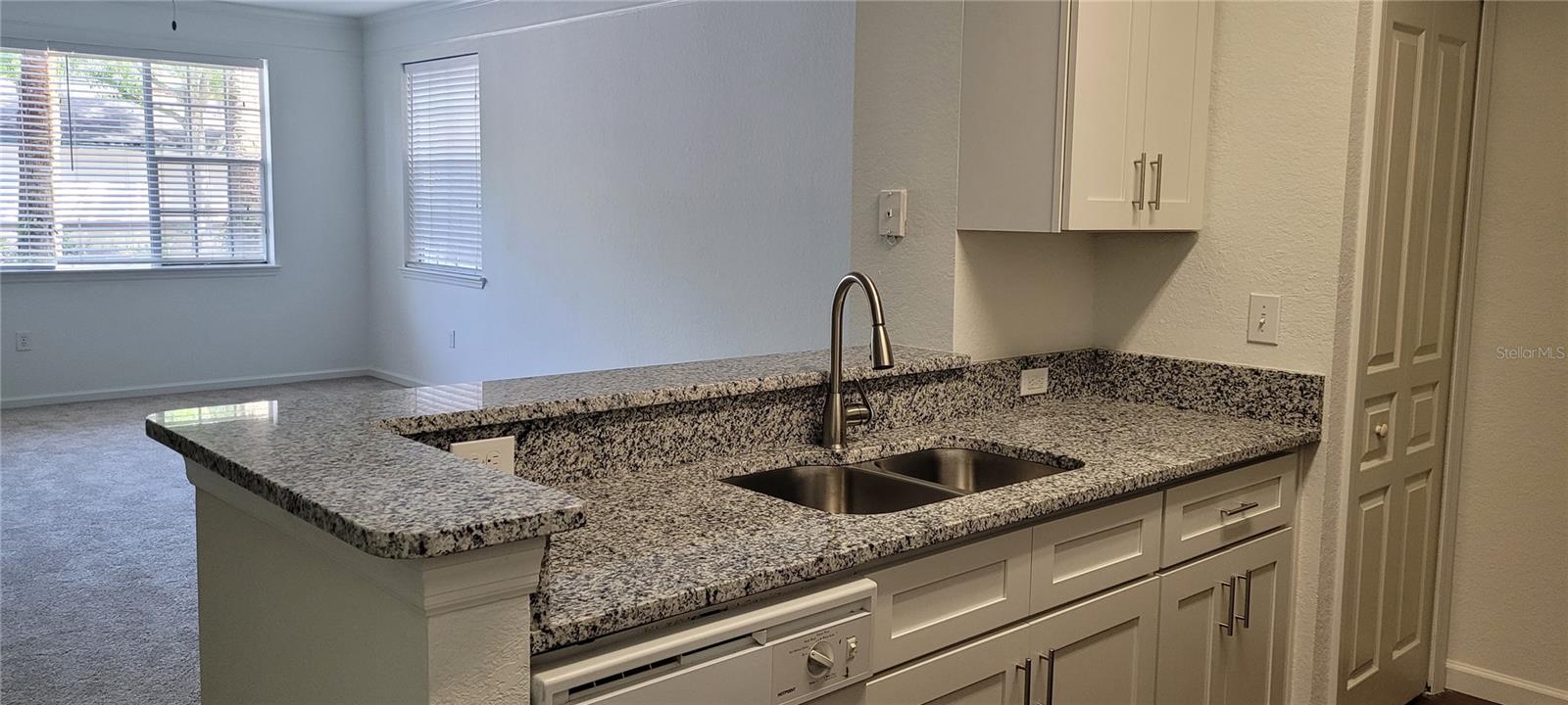 17104 Carrington Park Unit 513, Tampa, FL 33647