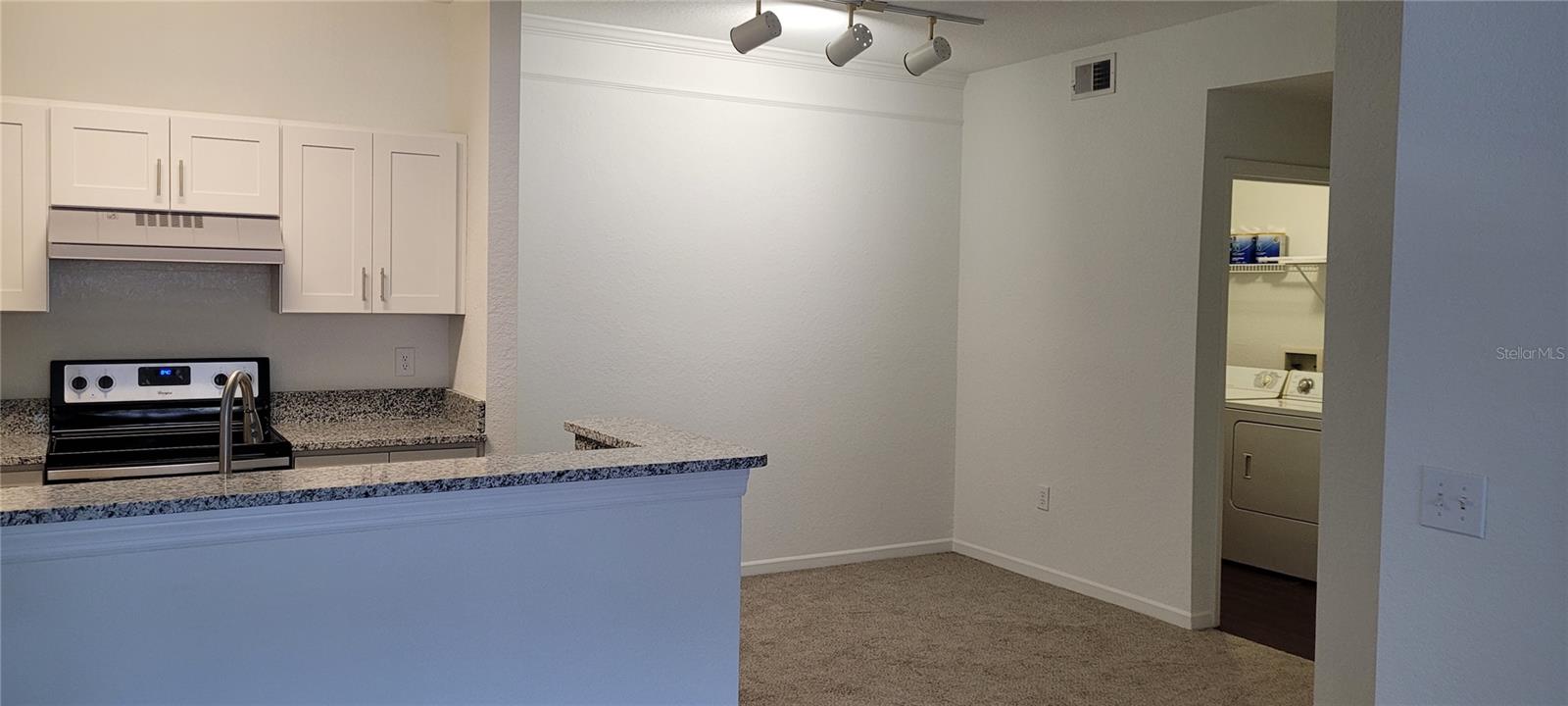 17104 Carrington Park Unit 513, Tampa, FL 33647