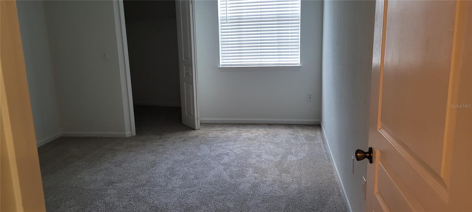 17104 Carrington Park Unit 513, Tampa, FL 33647