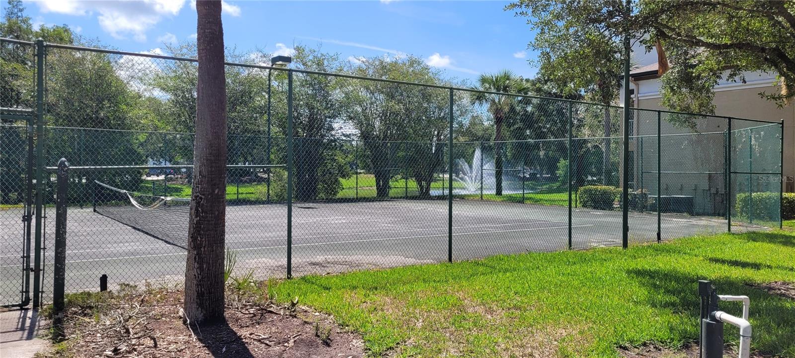 17104 Carrington Park Unit 513, Tampa, FL 33647