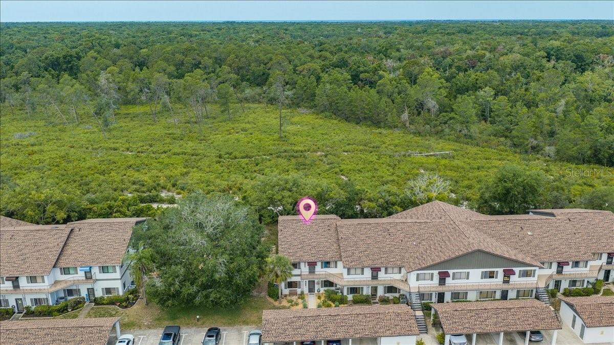 6653 River Run Unit 6653, Weeki Wachee, FL 34607