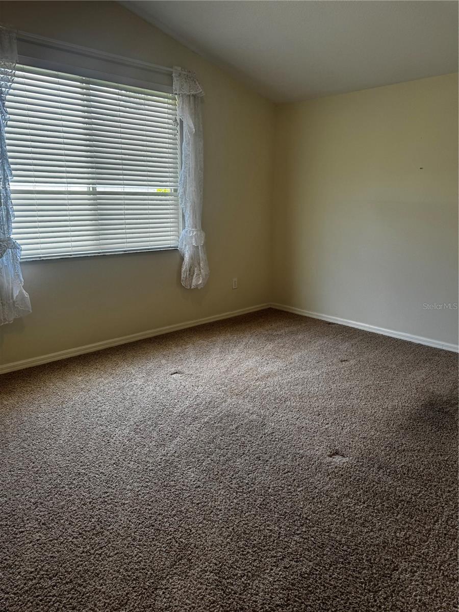 8806 Cypress Hammock, Tampa, FL 33614