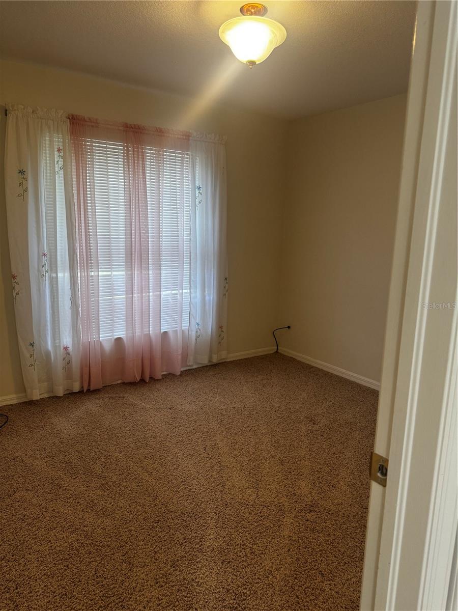 8806 Cypress Hammock, Tampa, FL 33614