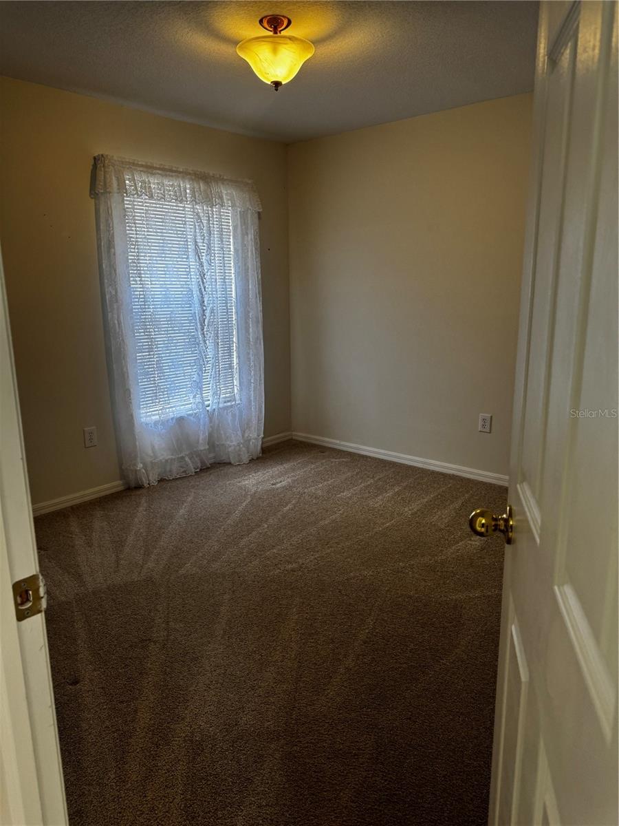 8806 Cypress Hammock, Tampa, FL 33614