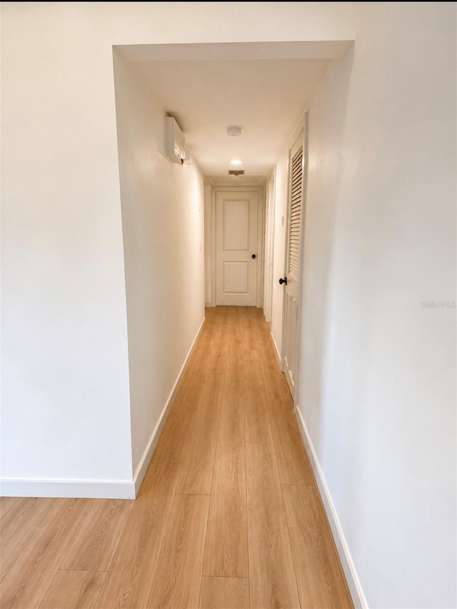 10111 Ola, Tampa, FL 33612