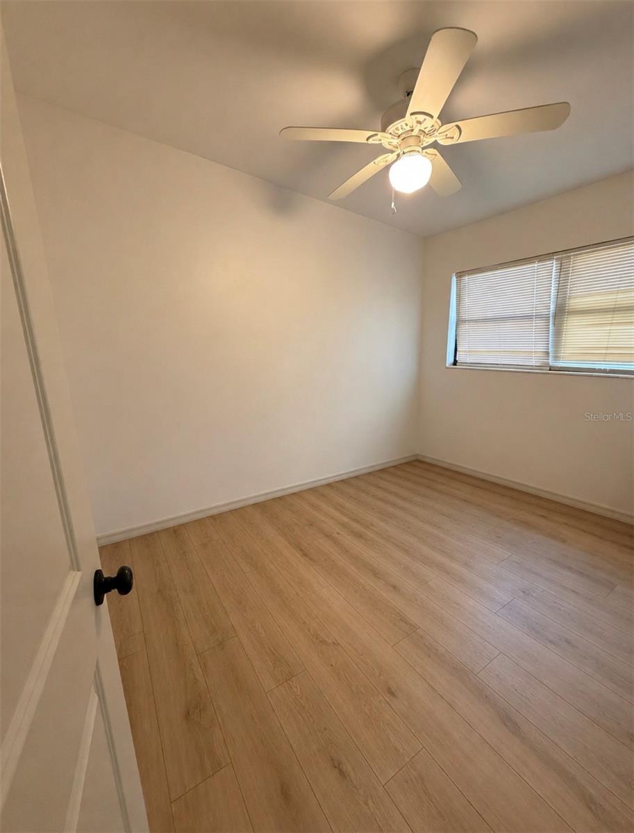 10111 Ola, Tampa, FL 33612