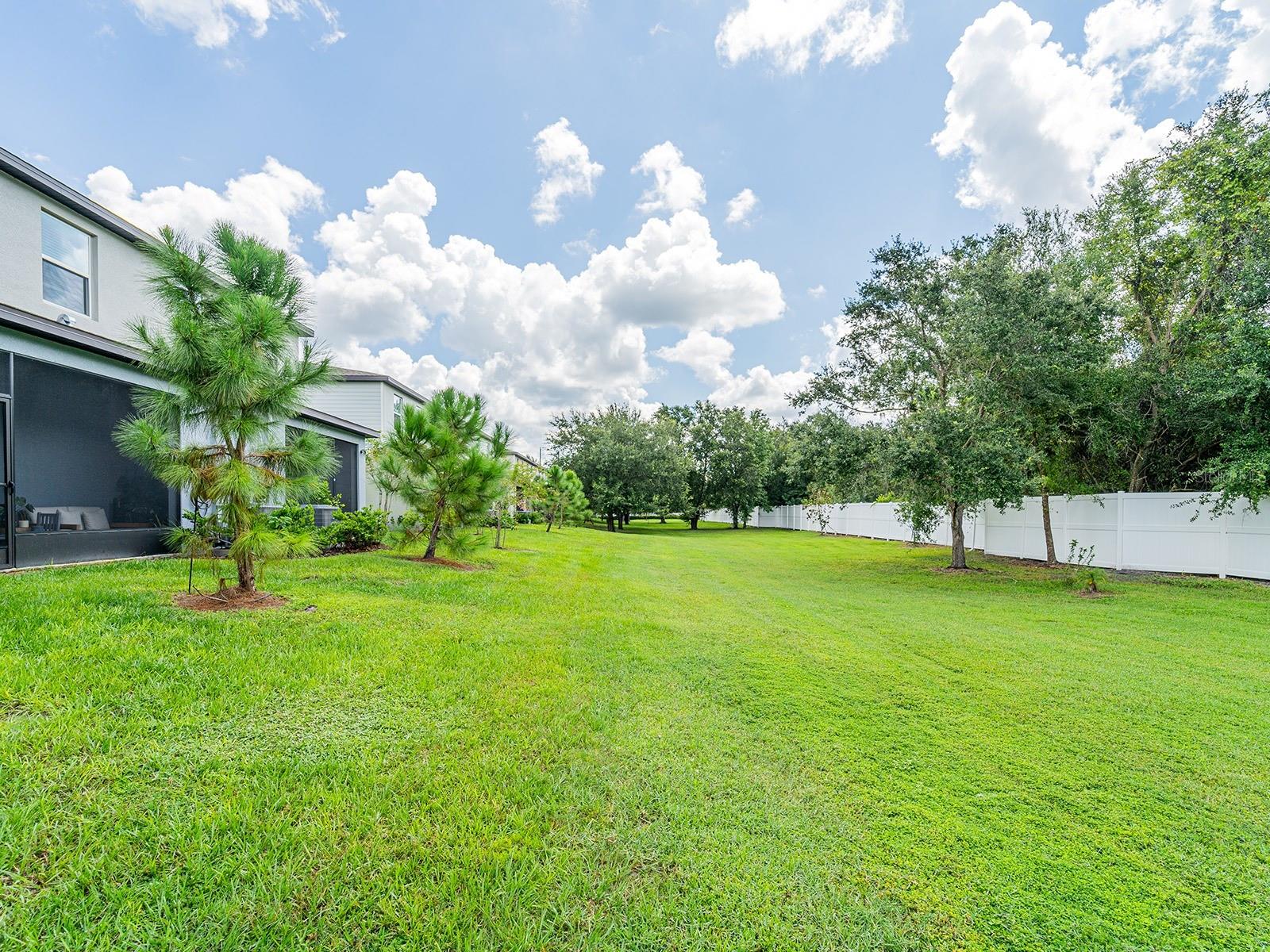 21372 Darter, Land O Lakes, FL 34638