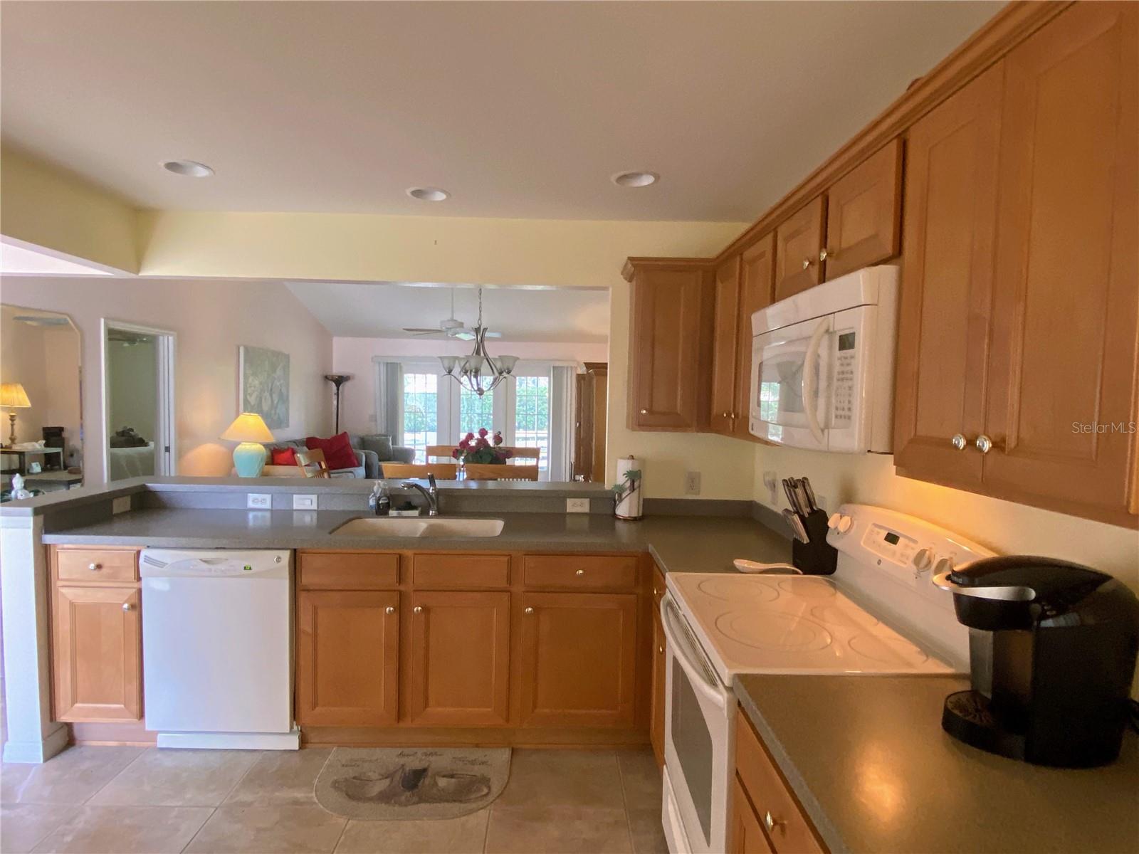 2530 Saffron, The Villages, FL 32162