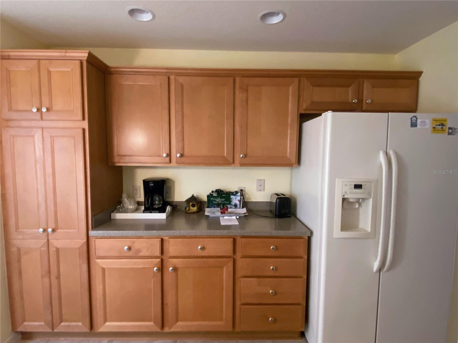 2530 Saffron, The Villages, FL 32162