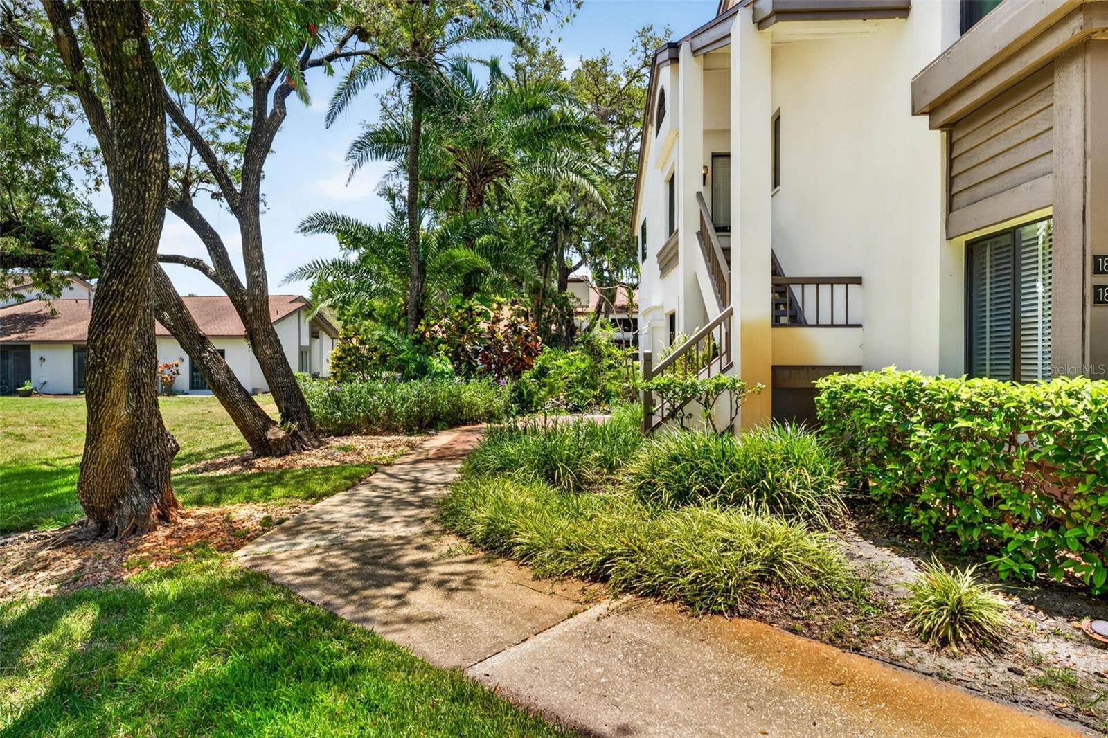 1846 Lake Cypress Unit 1846, Safety Harbor, FL 34695