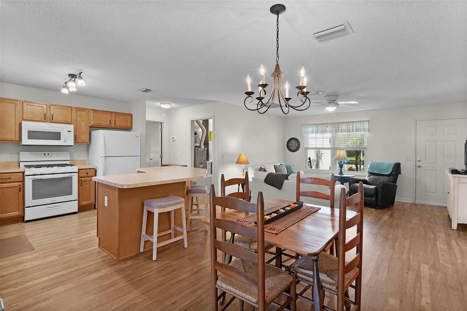 8397 177th Bartram, The Villages, FL 32162