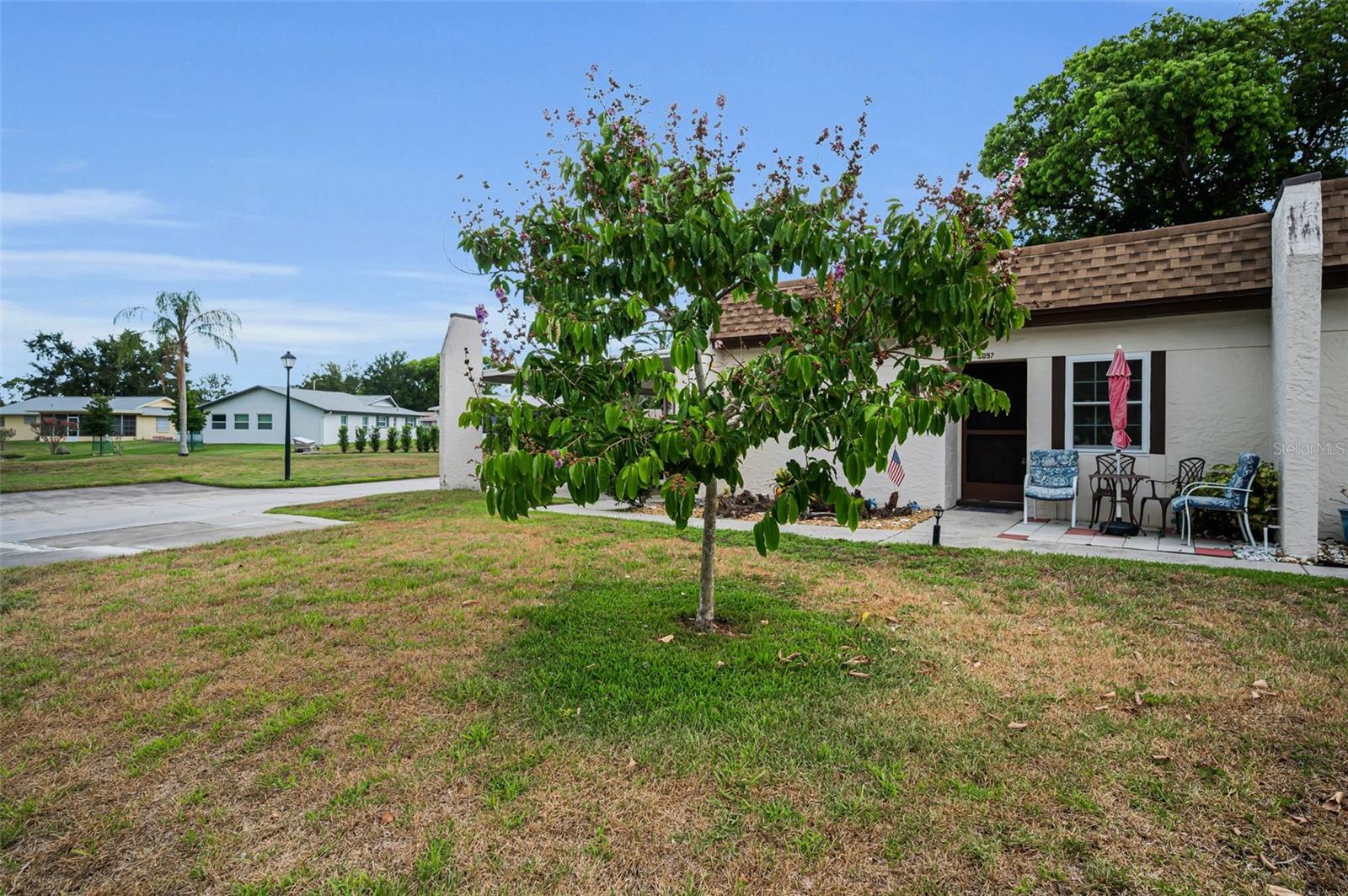 3097 Mission Grove, Palm Harbor, FL 34684