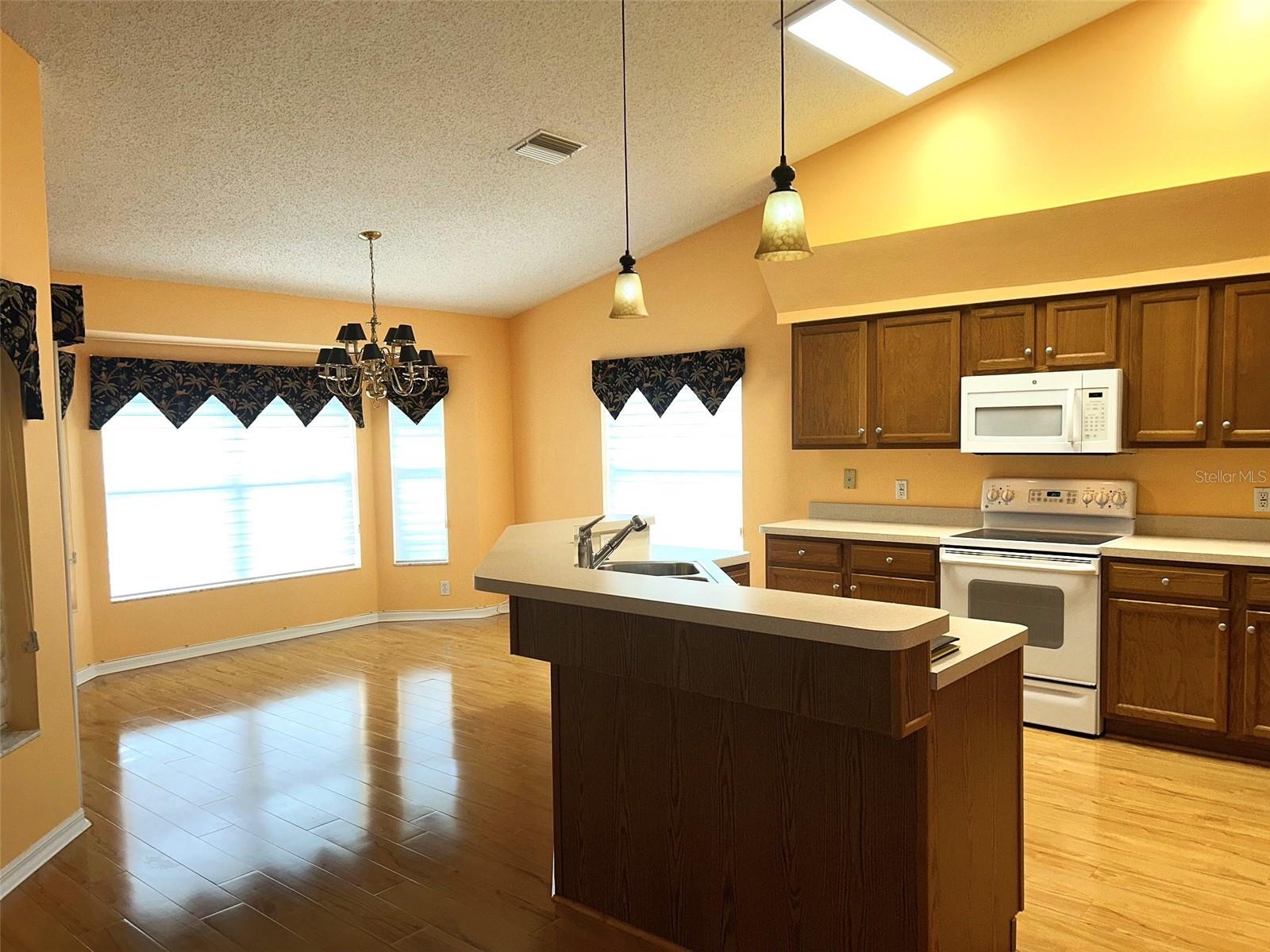 18702 Bellevista, Hudson, FL 34667
