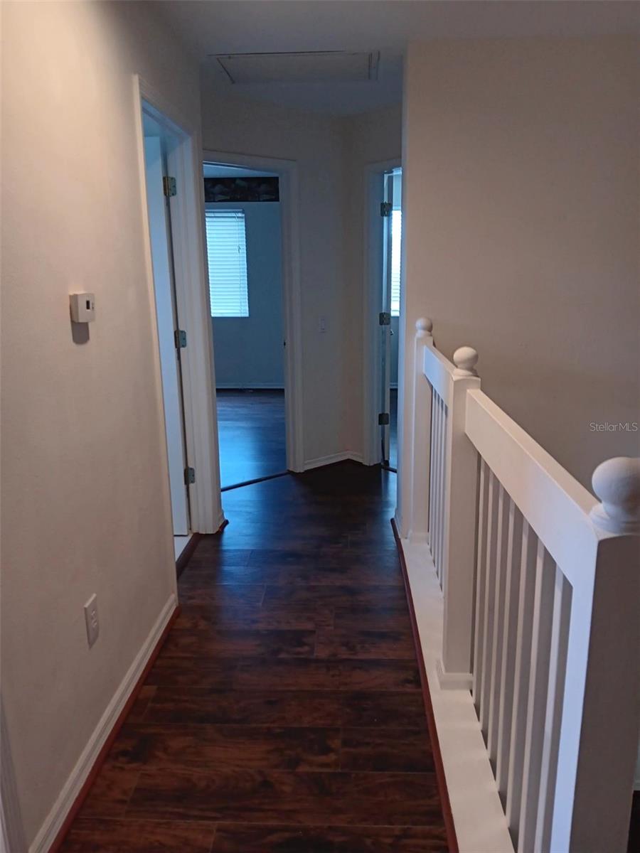 10415 Lucaya, Tampa, FL 33647