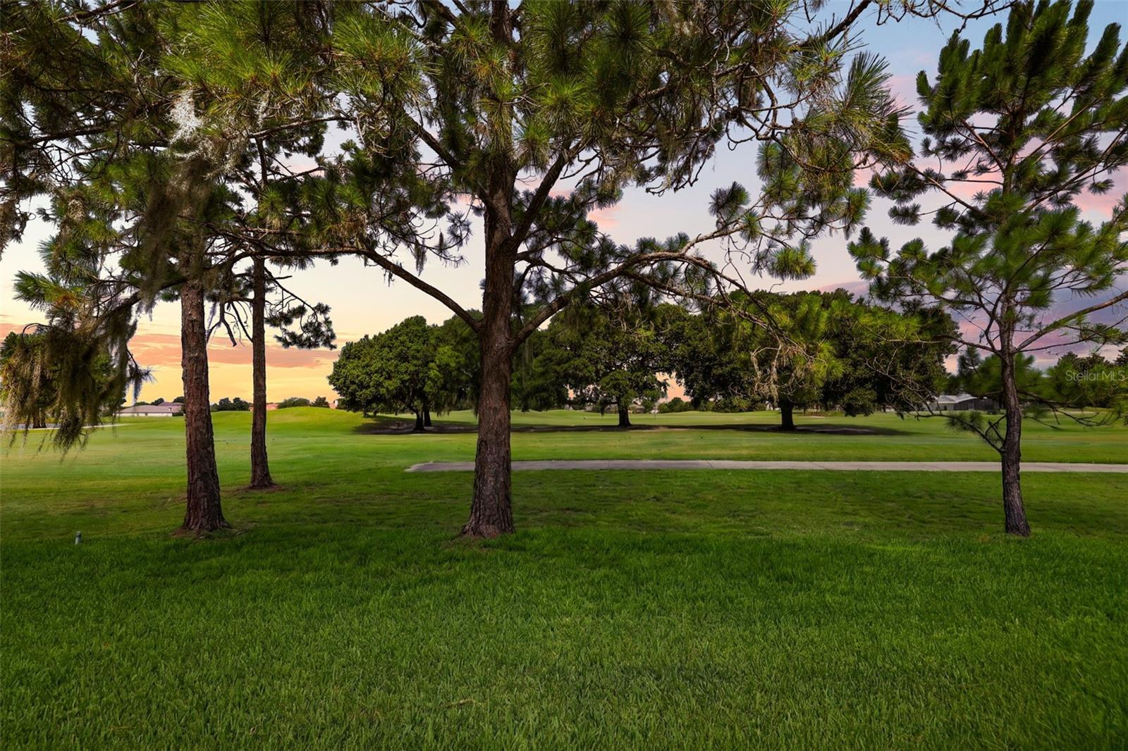 29925 Cypress Pointe, Tavares, FL 32778
