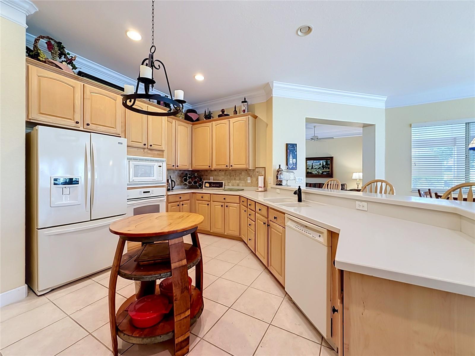 12992 91st, Summerfield, FL 34491