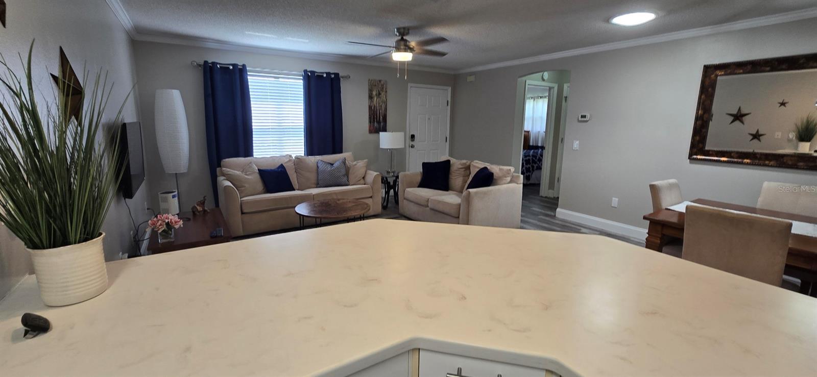 712 Artesia, The Villages, FL 32162