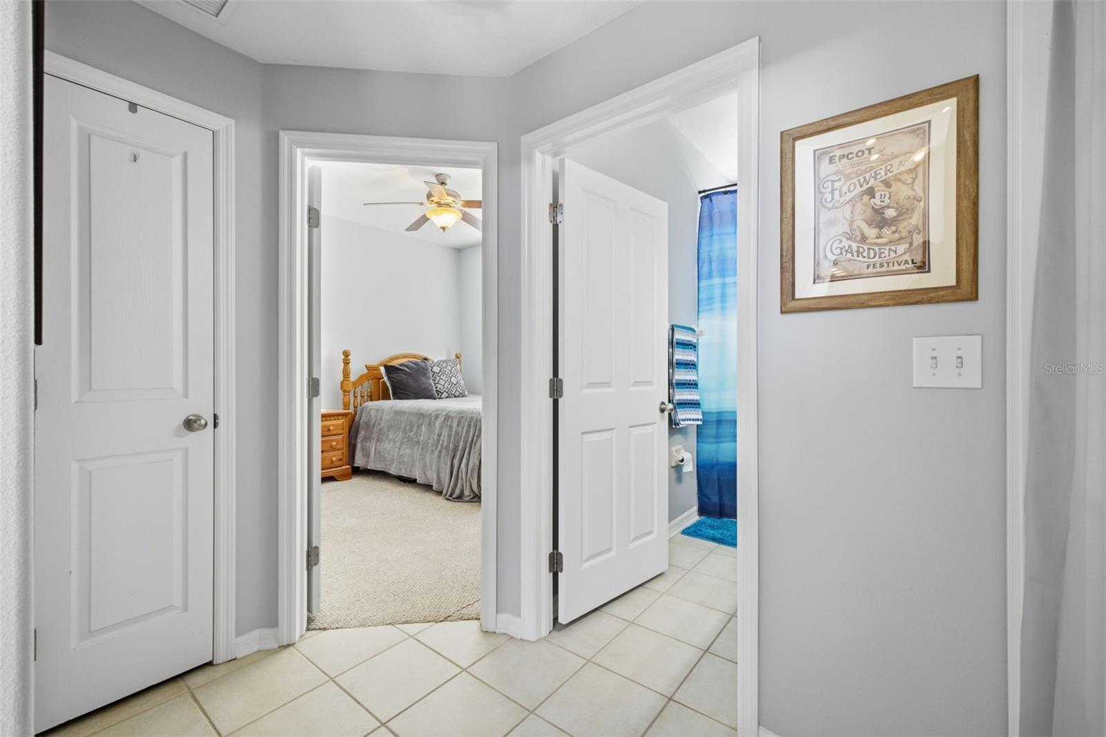 6846 Pine Springs, Wesley Chapel, FL 33545