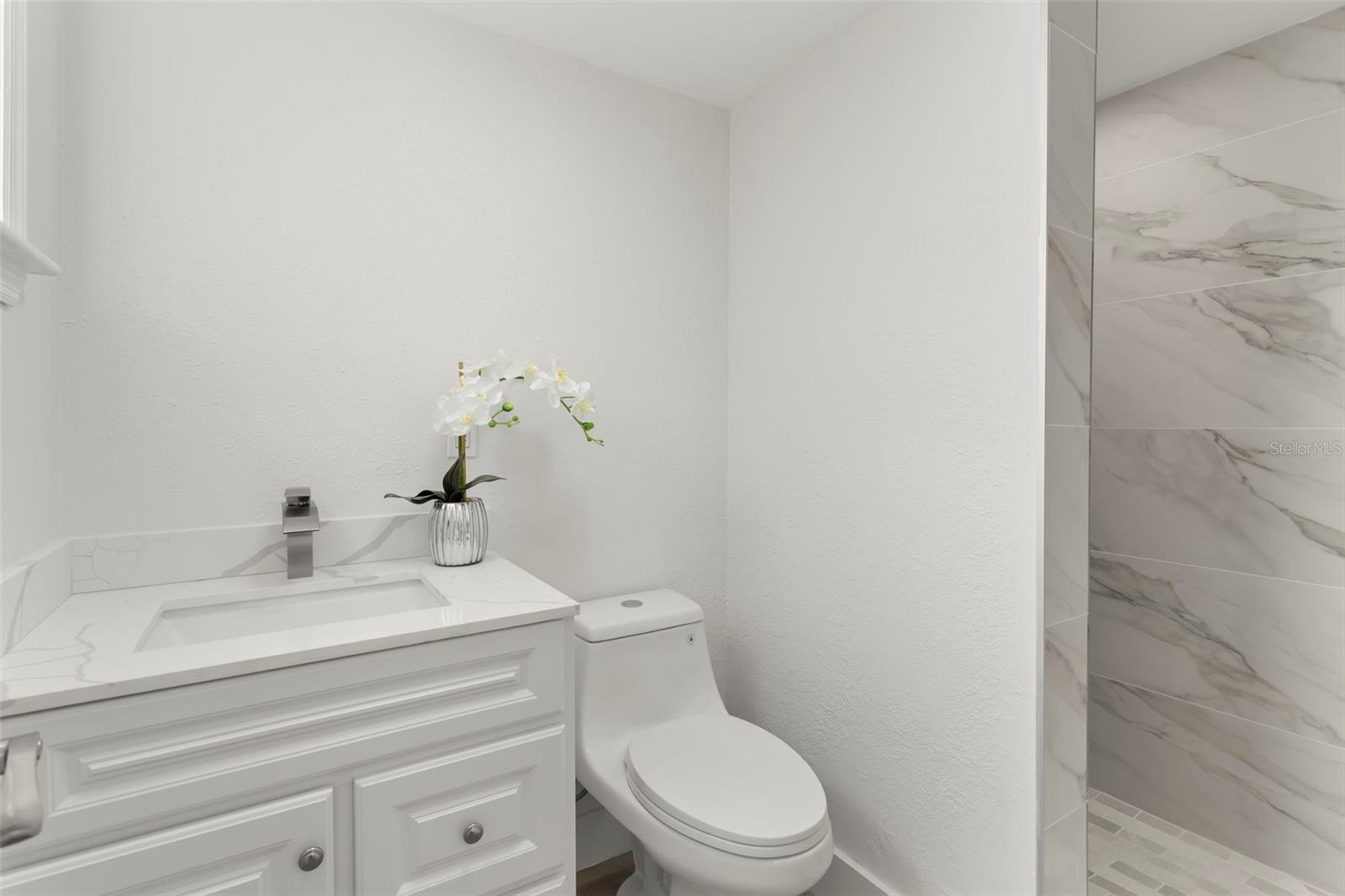 1524 Arizona, St Petersburg, FL 33703