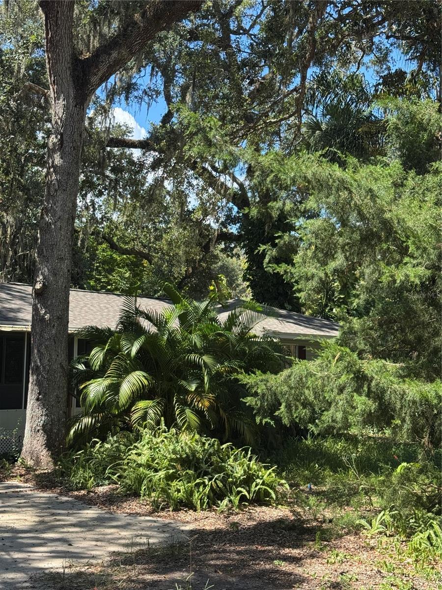 12 Dawson, Palm Coast, FL 32137