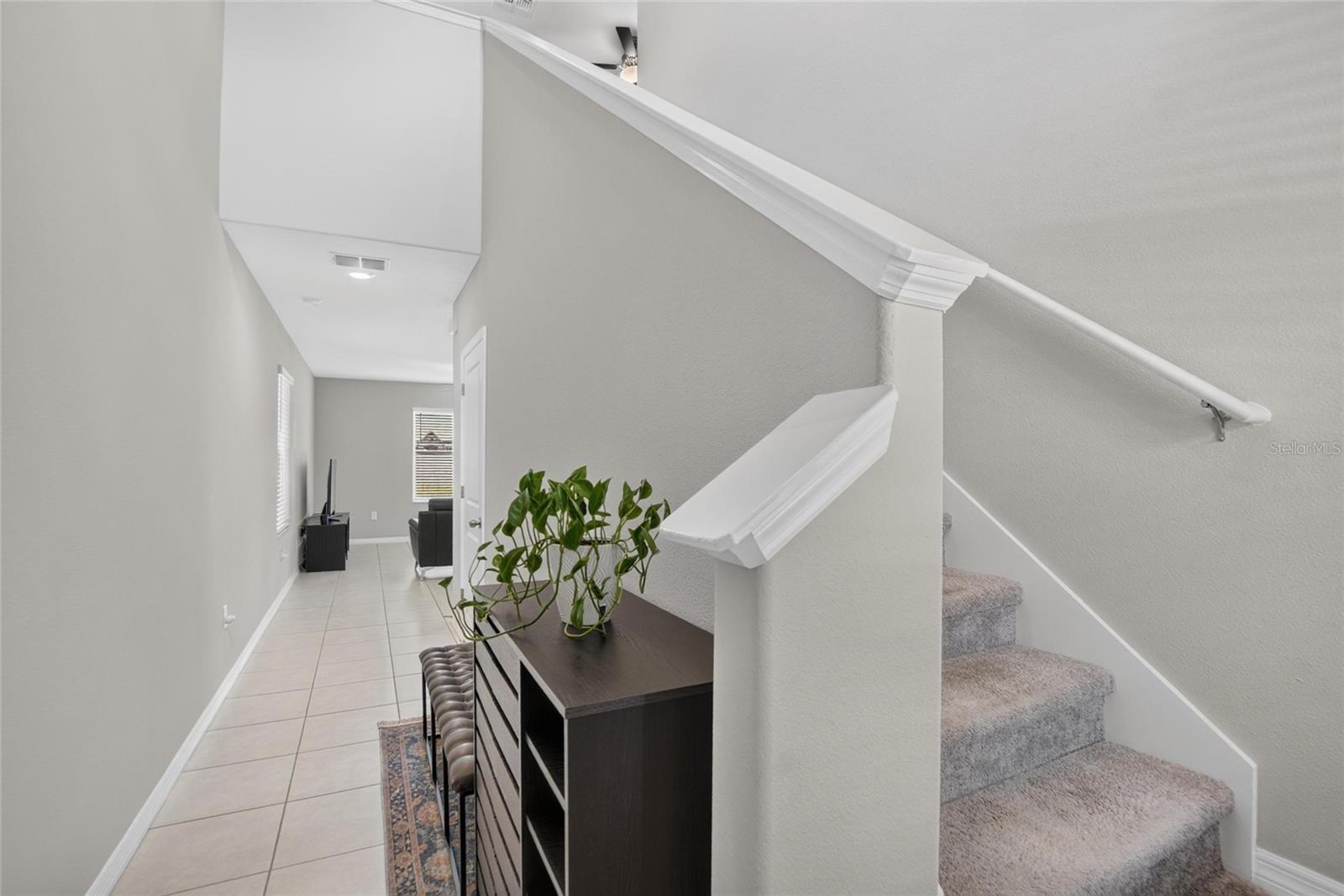 4907 Wild Senna, Tampa, FL 33619