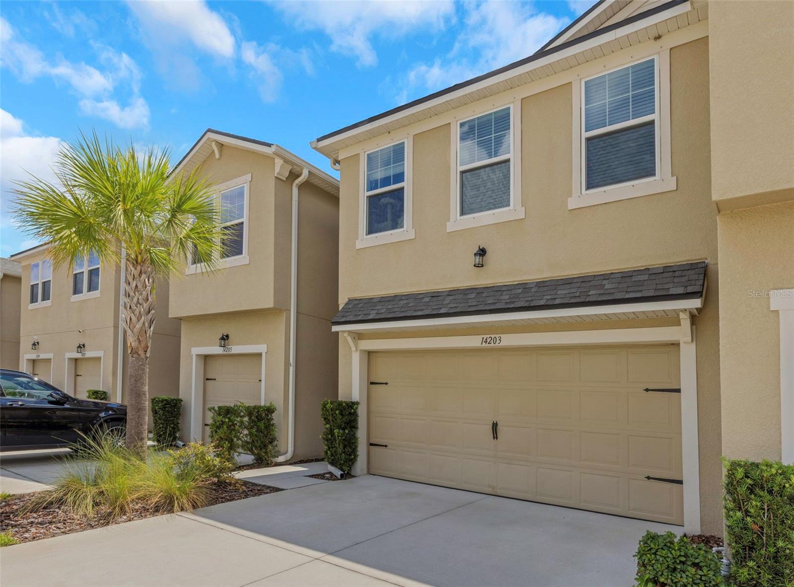 14203 Damselfly, Tampa, FL 33625