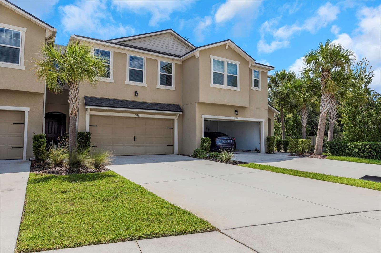 14203 Damselfly, Tampa, FL 33625