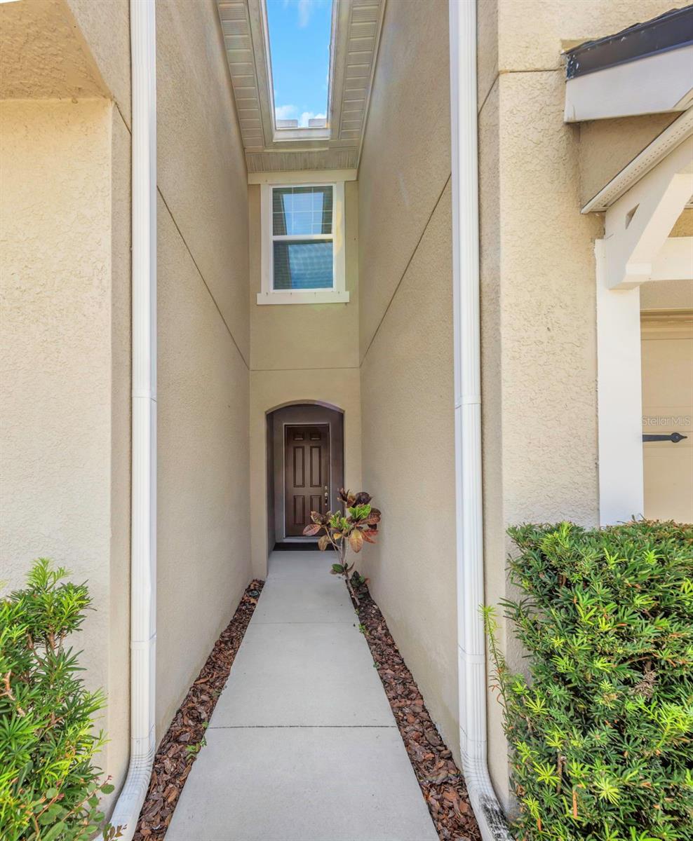 14203 Damselfly, Tampa, FL 33625
