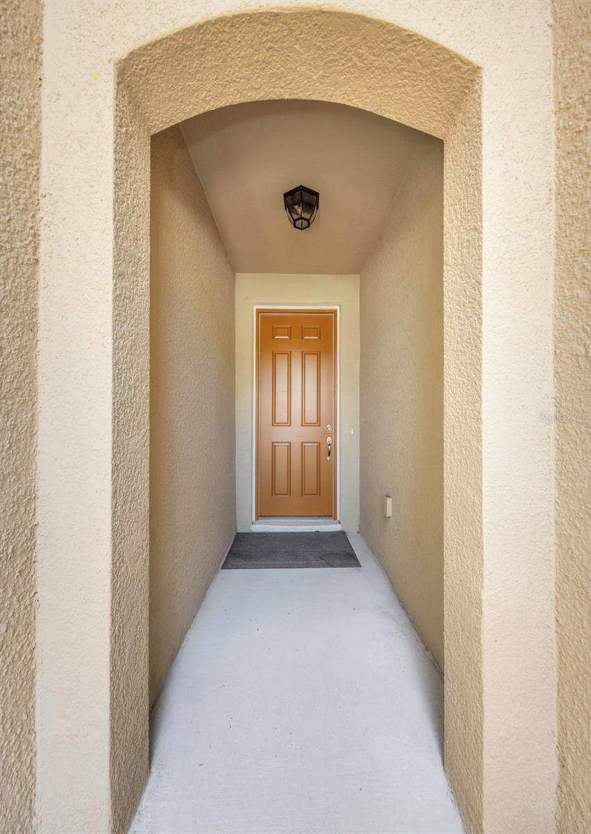14203 Damselfly, Tampa, FL 33625