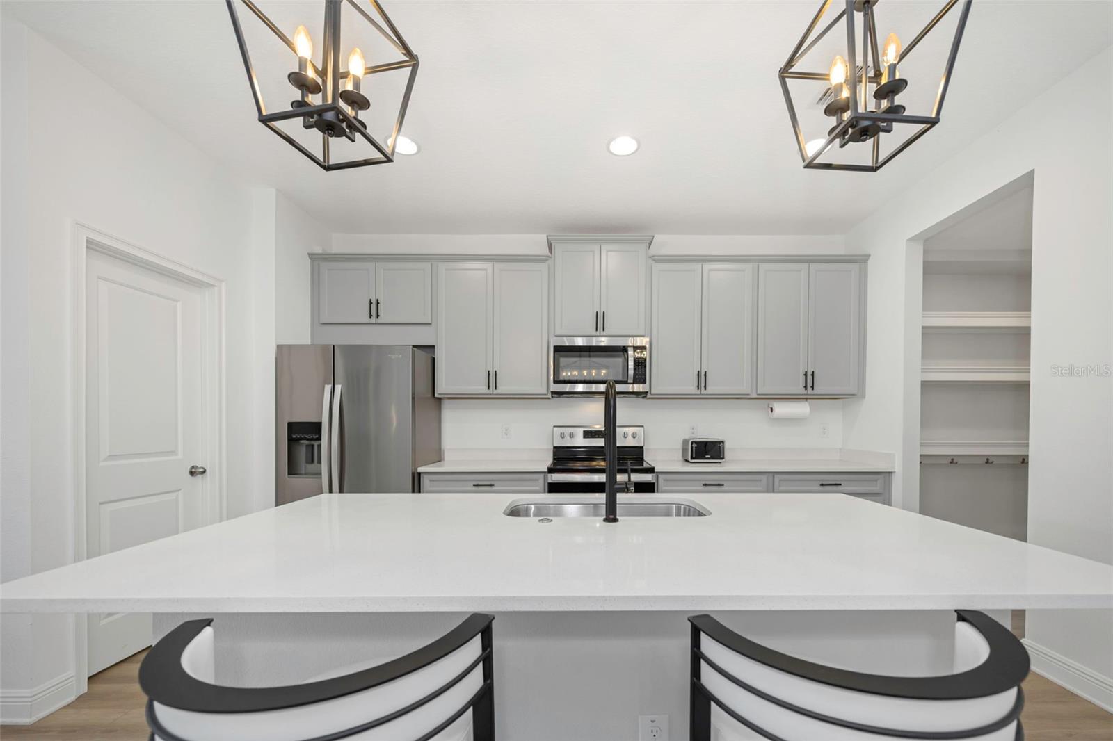 14203 Damselfly, Tampa, FL 33625