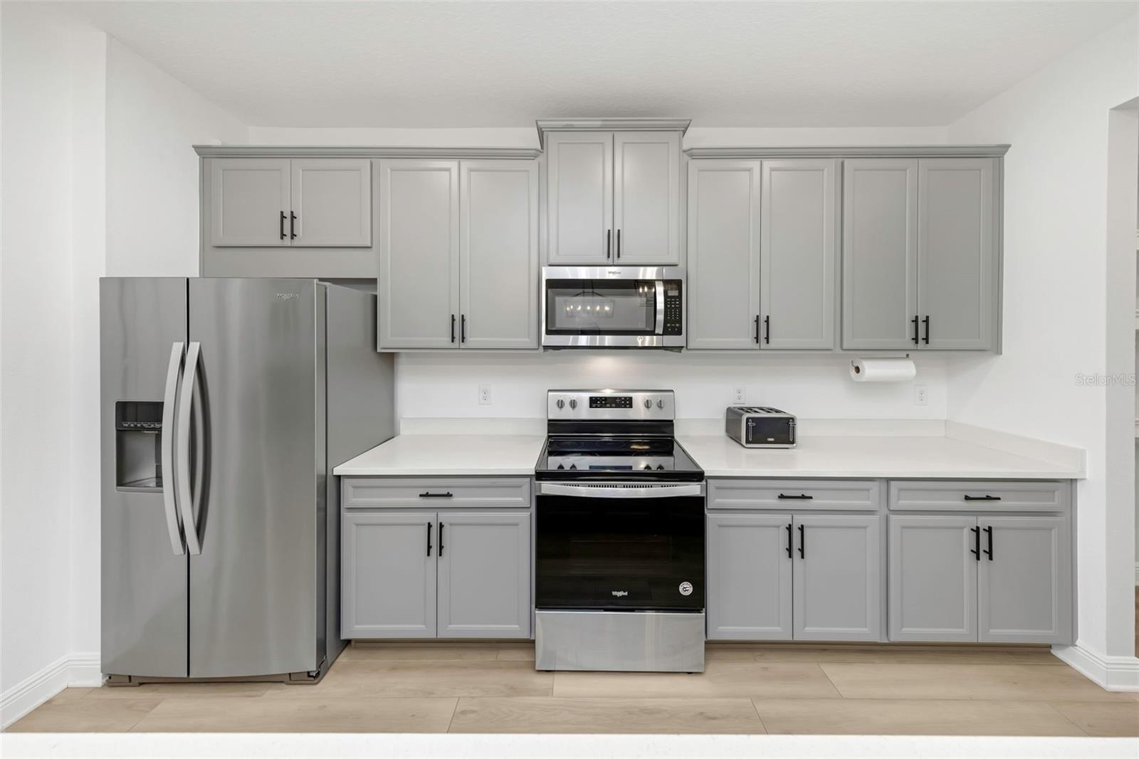 14203 Damselfly, Tampa, FL 33625