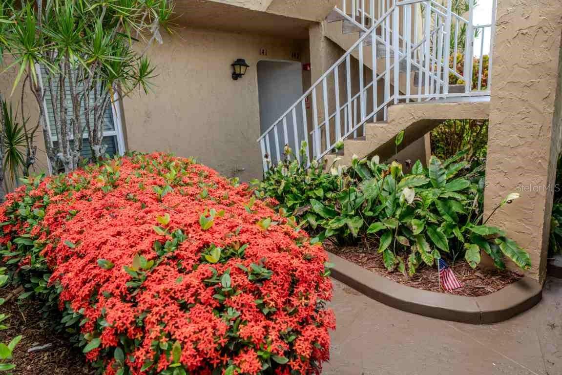 225 Country Club Unit D142, Largo, FL 33771