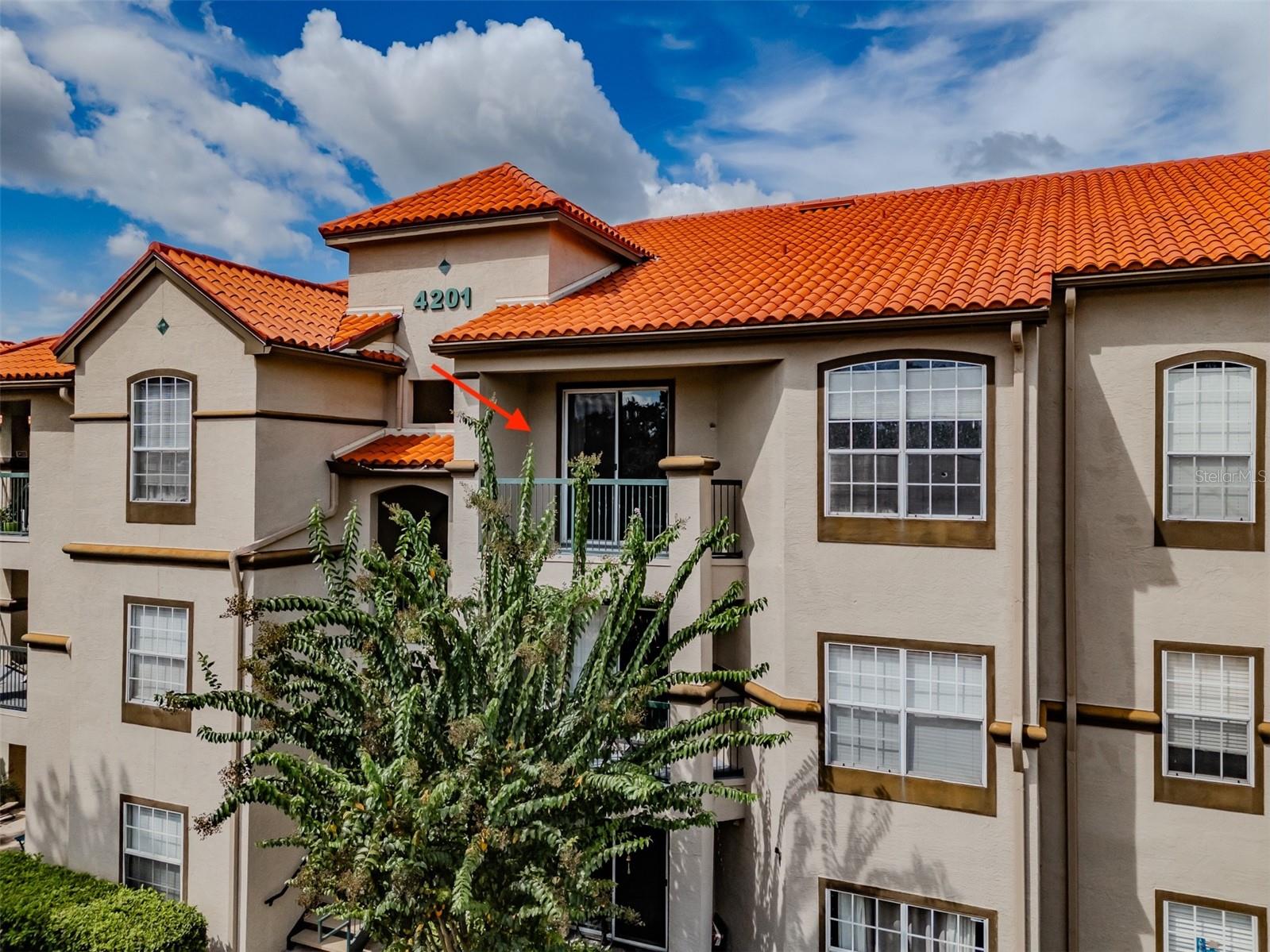 4201 Woodstorks Walk Unit 3302, Lutz, FL 33558