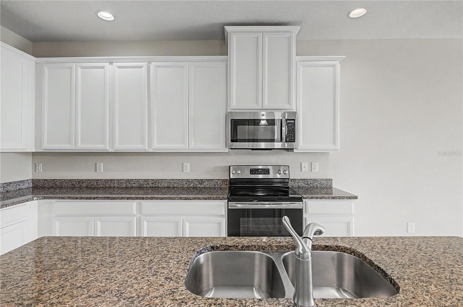 10331 Heron Hideaway, Land O Lakes, FL 34638