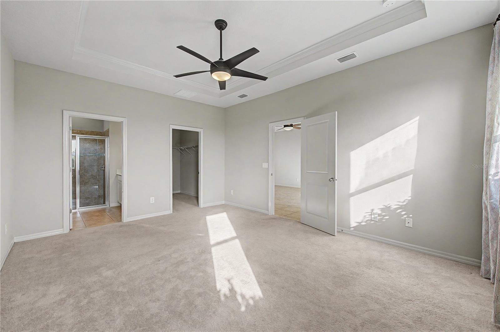 10331 Heron Hideaway, Land O Lakes, FL 34638