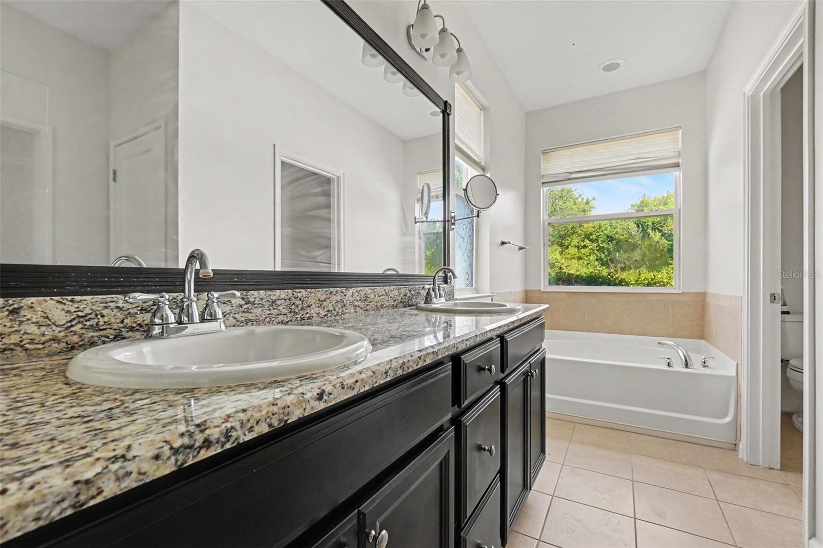 12324 Streambed, Riverview, FL 33579