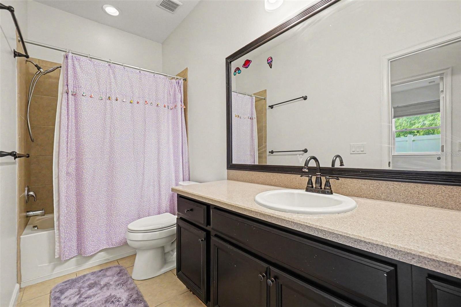 12324 Streambed, Riverview, FL 33579