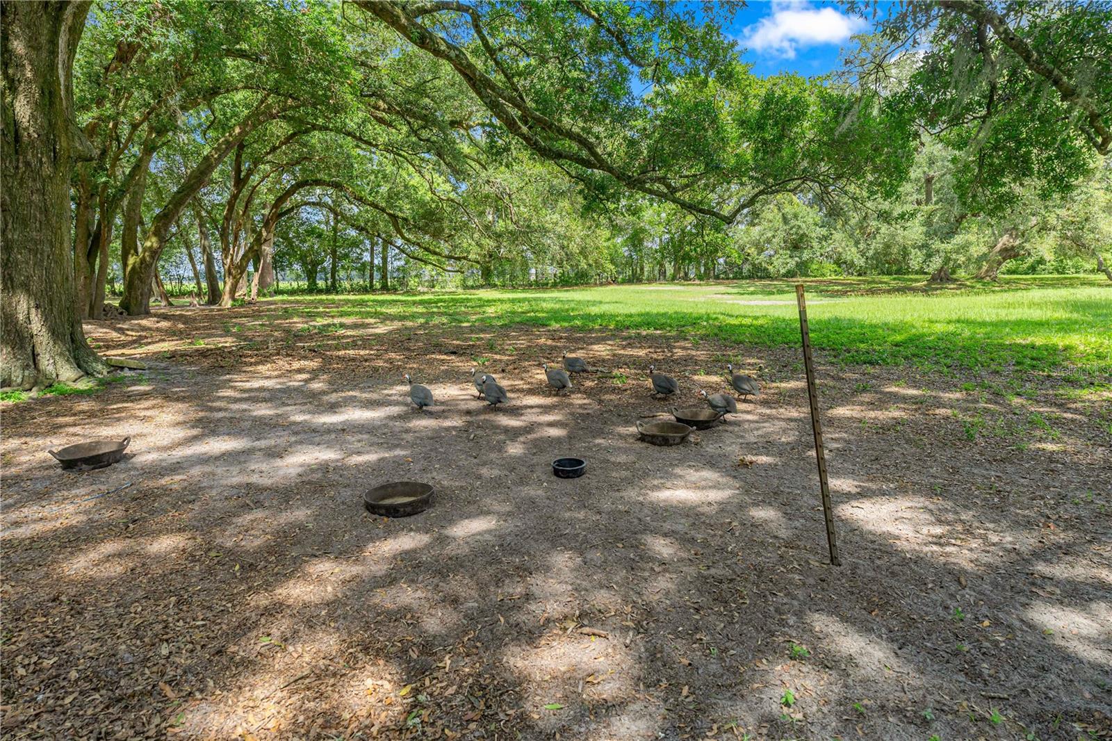 1890 167th, Trenton, FL 32693