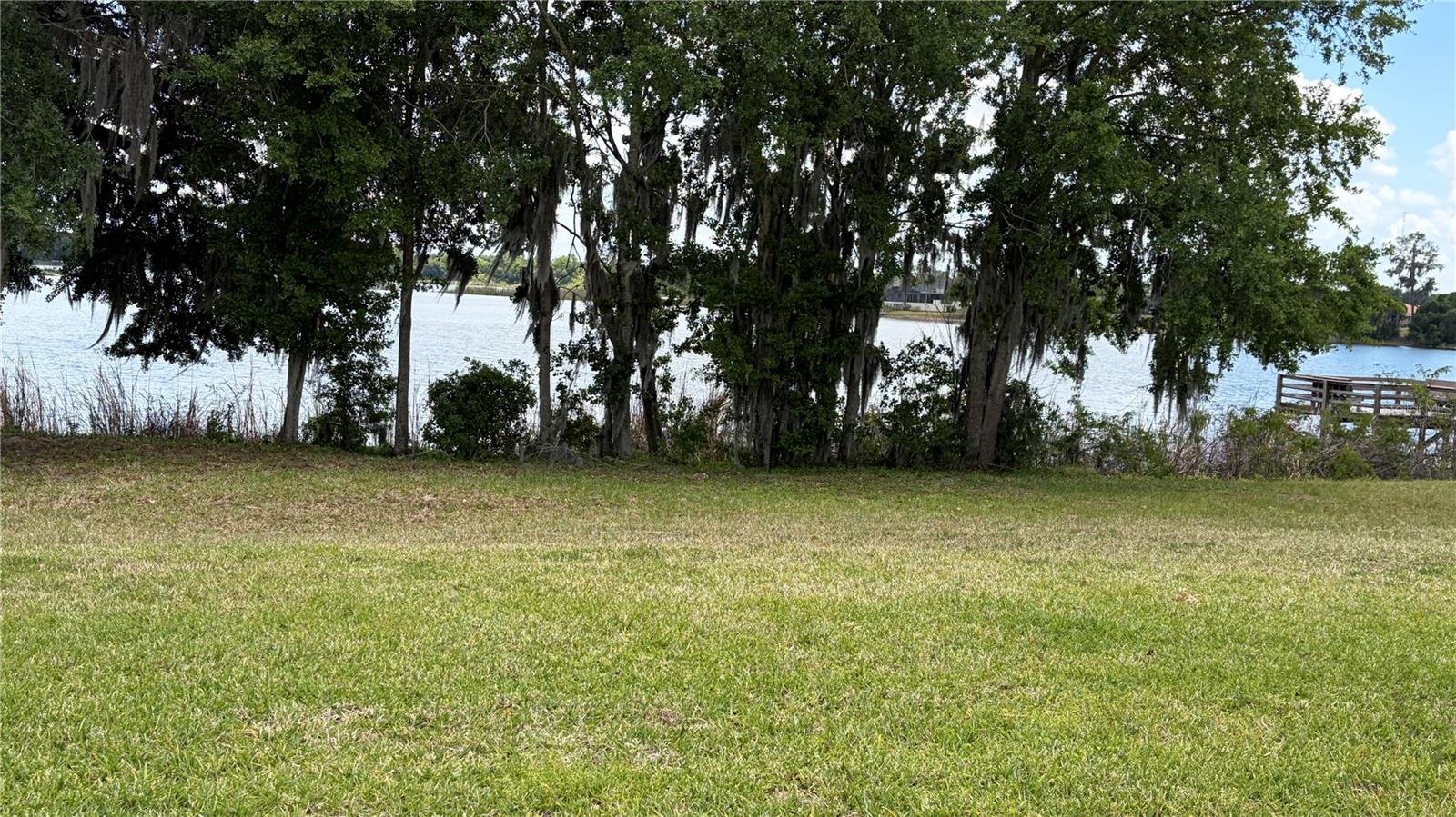 389 Nolane, Polk City, FL 33868