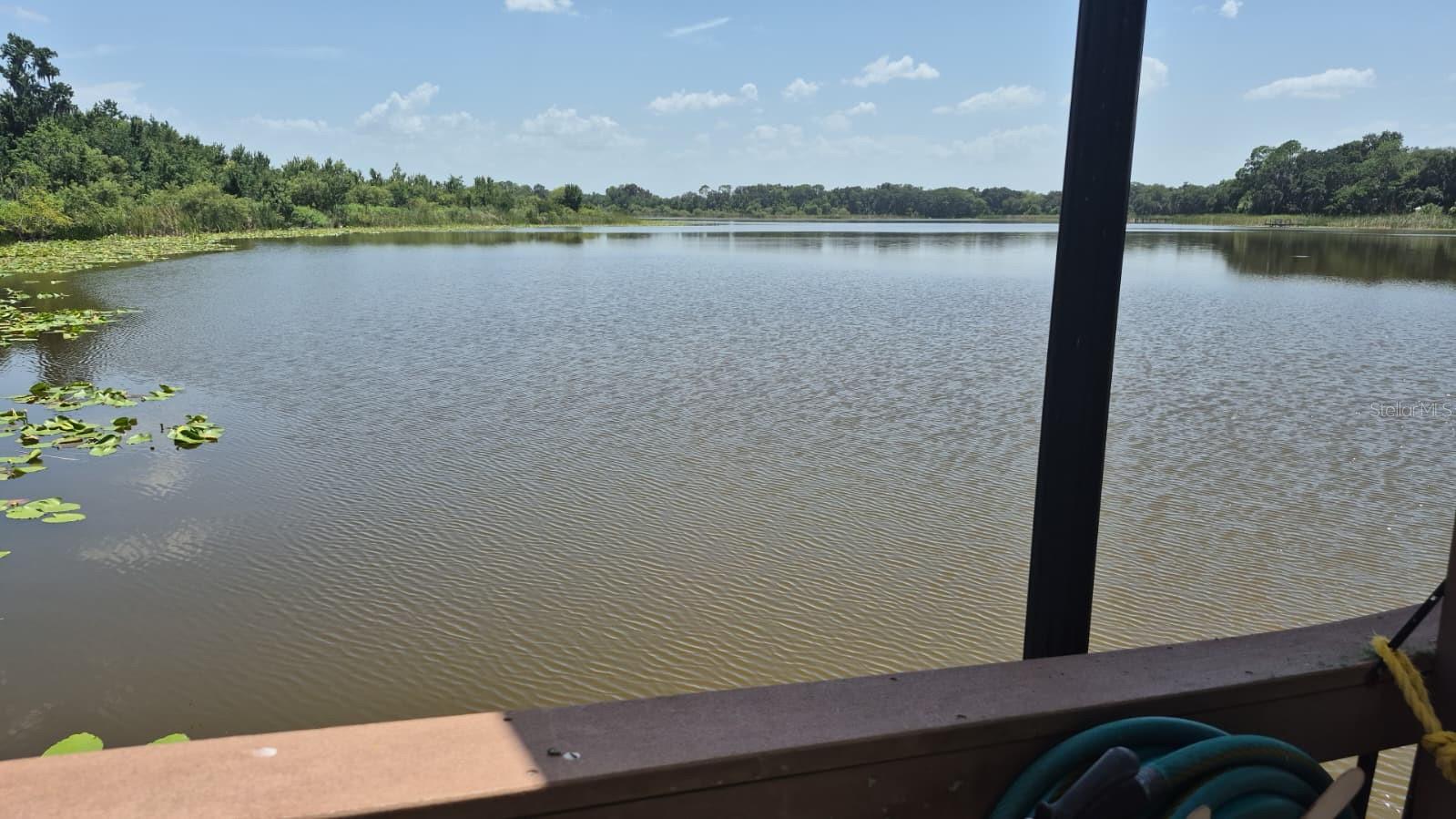 389 Nolane, Polk City, FL 33868