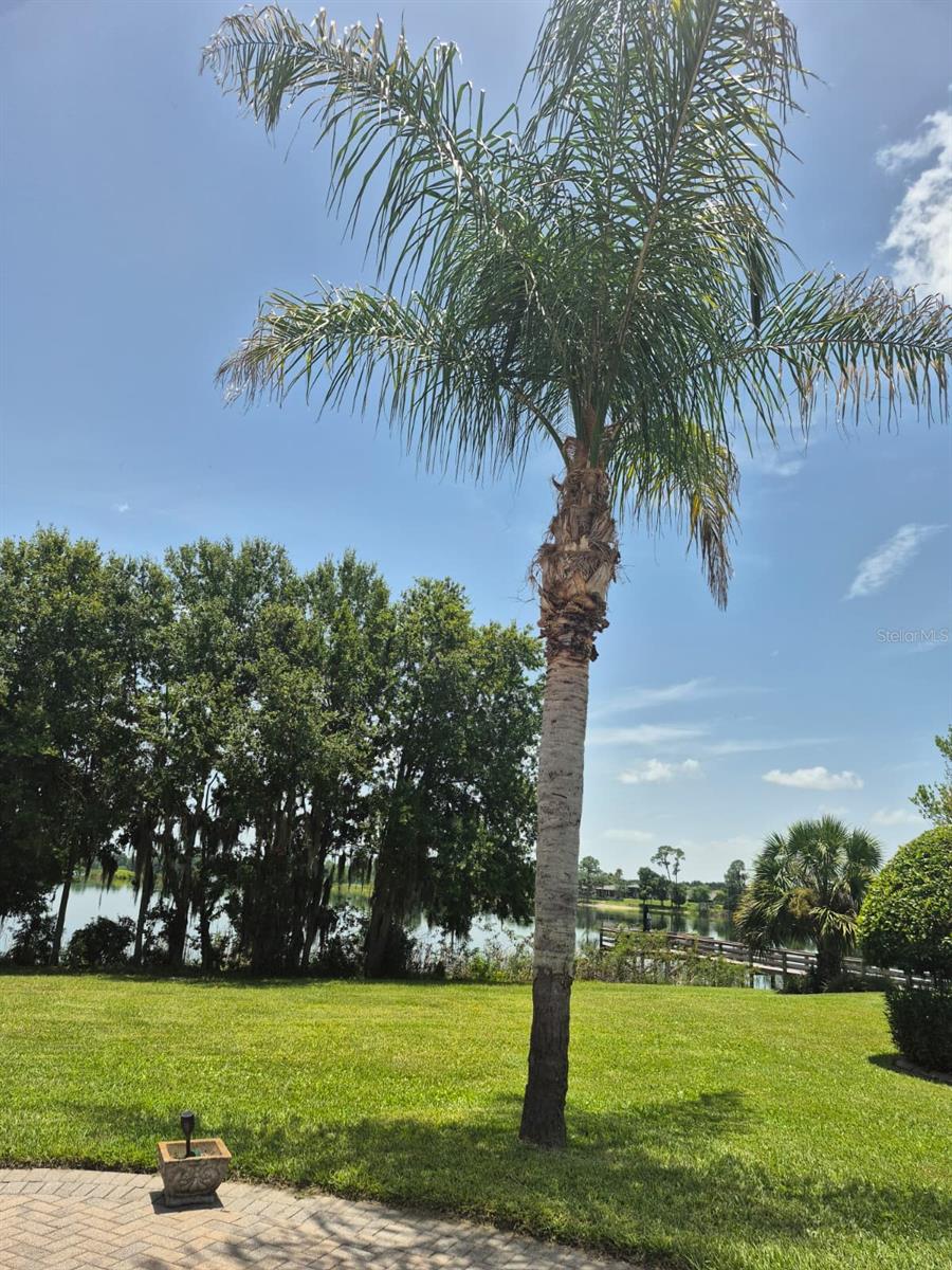 389 Nolane, Polk City, FL 33868