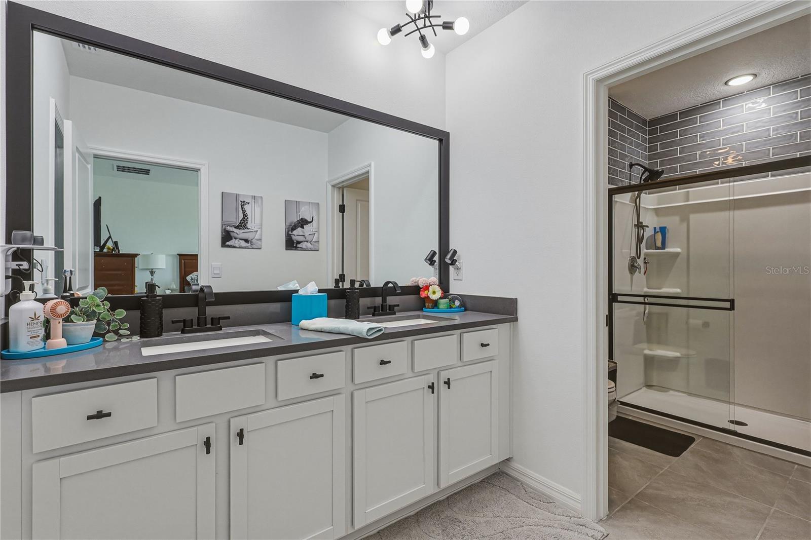 388 Mangrove Shade, Apollo Beach, FL 33572