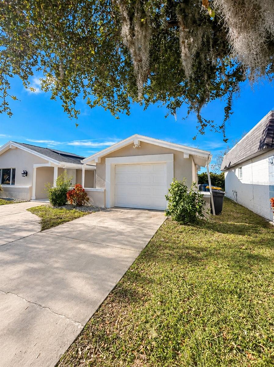 3631 Grayton, New Port Richey, FL 34652