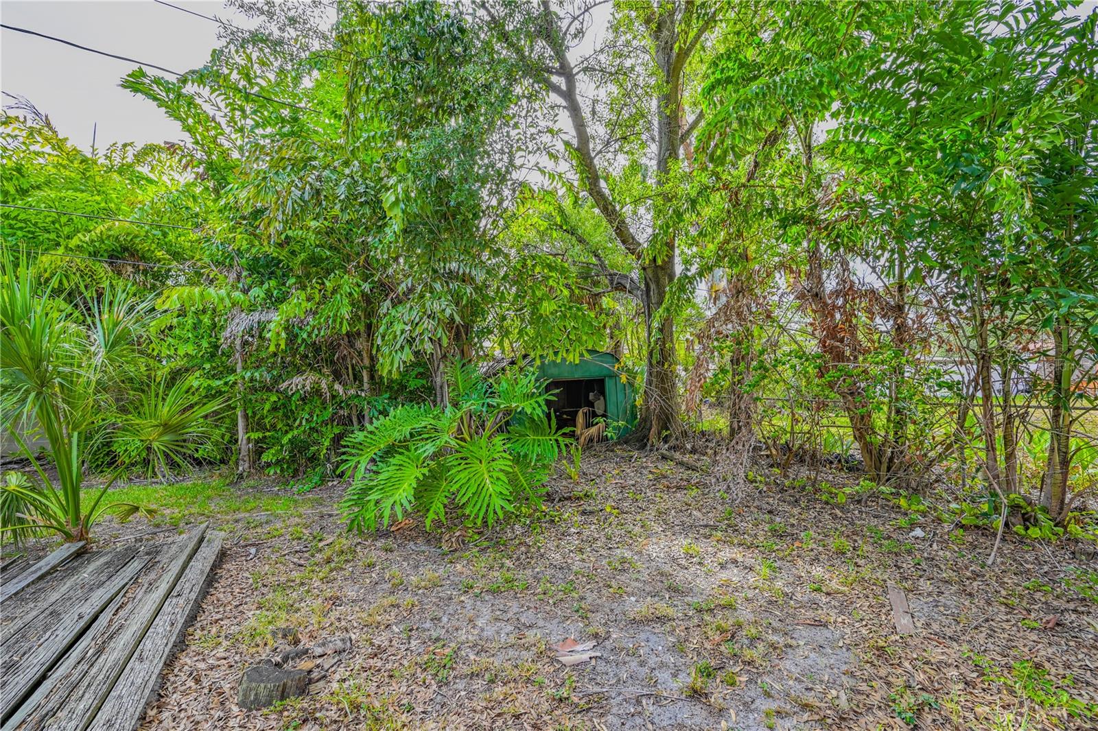 504 Davis, Tampa, FL 33606