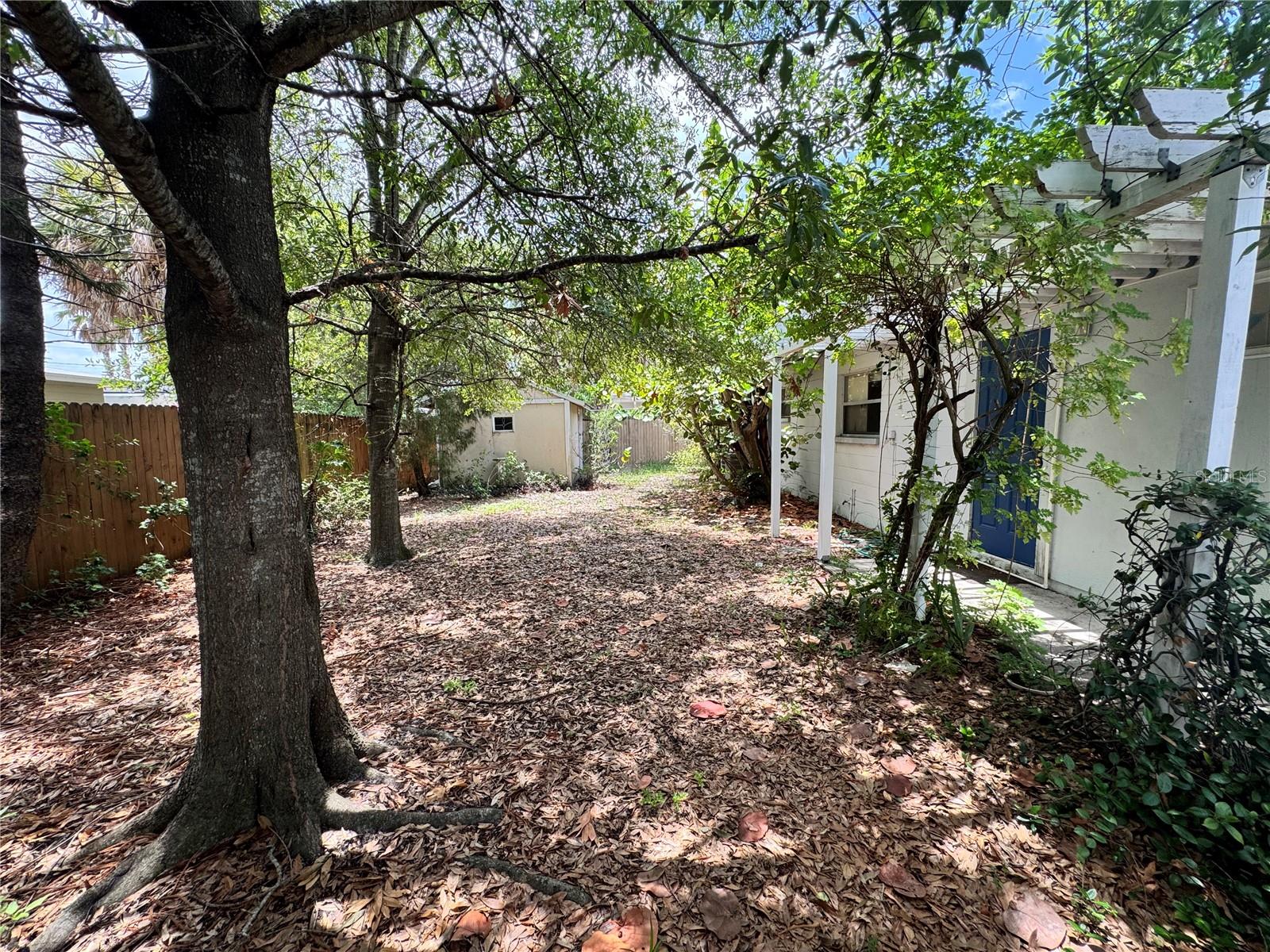 3608 Leila, Tampa, FL 33611