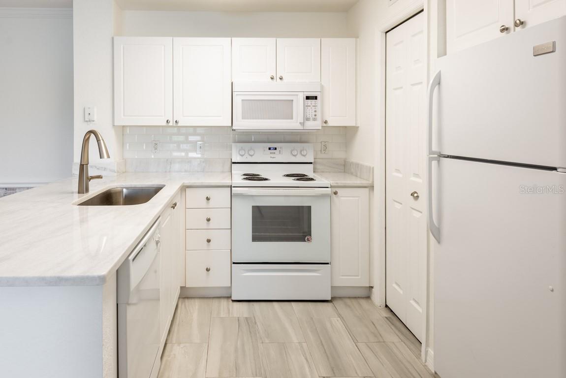 4209 Woodstorks Walk Unit 1110, Lutz, FL 33558