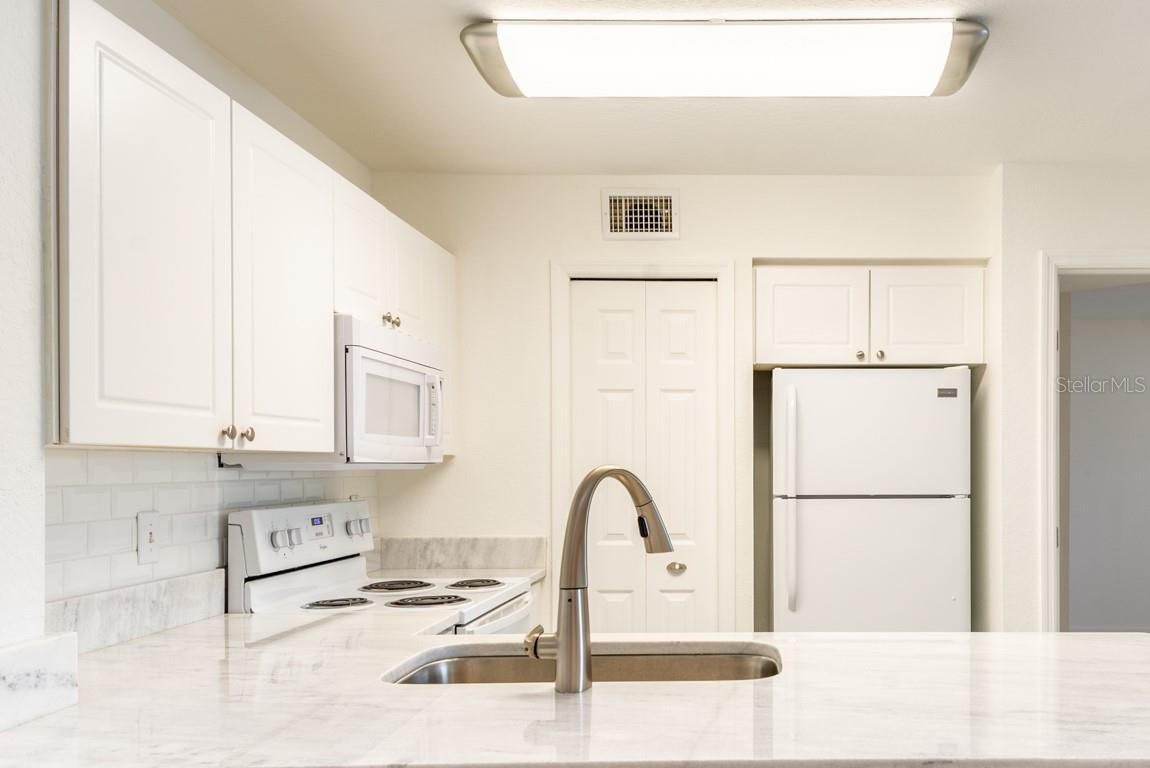 4209 Woodstorks Walk Unit 1110, Lutz, FL 33558