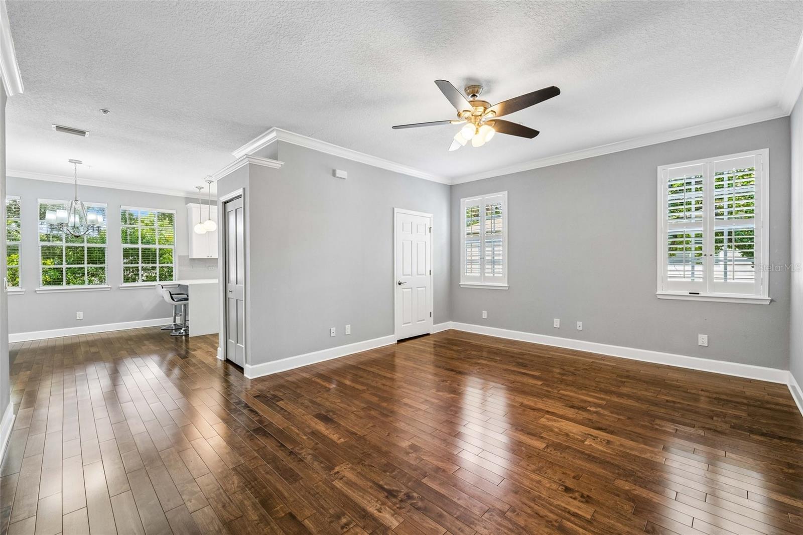 2613 Espana, Tampa, FL 33609